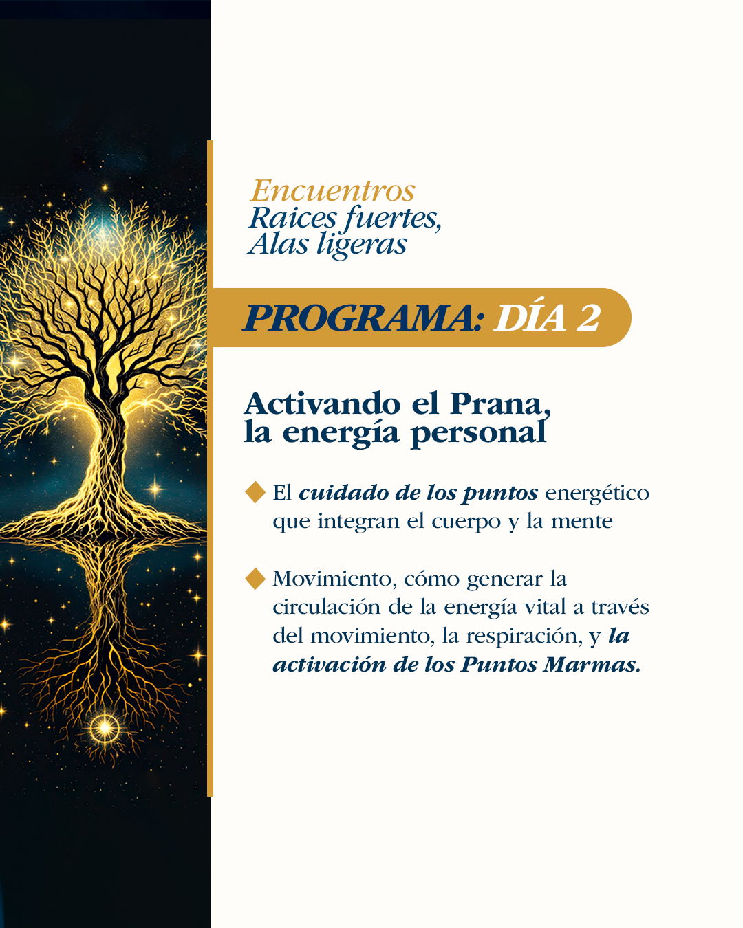 Taller-de-la-Vida-infinita_DIA2